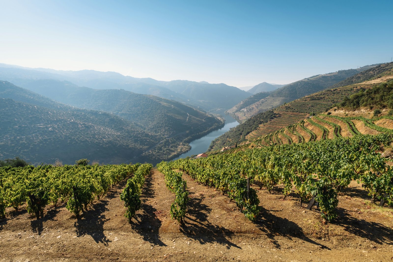 buy property in Portugal